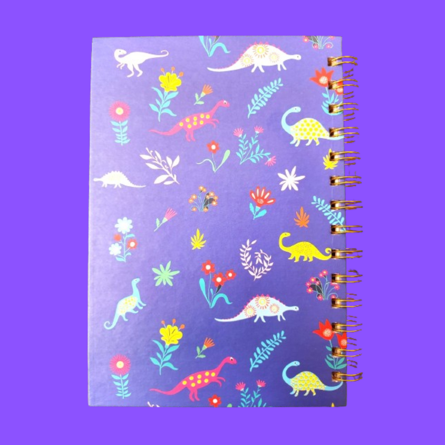 Dinosaur Popit Diary Agiftshop