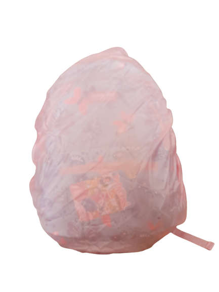 School Bag Agiftshop