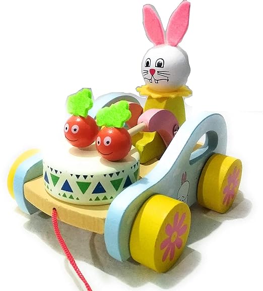 Pull Along Wooden Toy