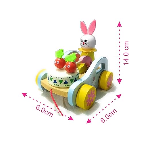 Pull Along Wooden Toy