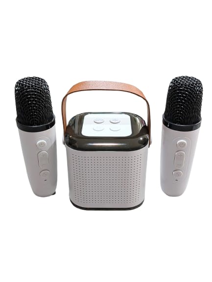 Wireless Karaoke Speaker Set with Dual Microphones